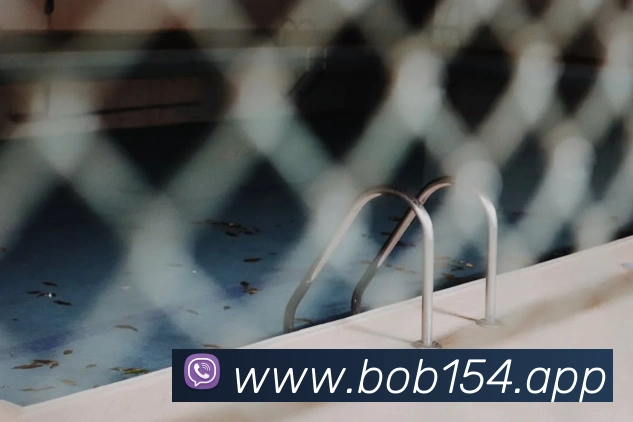 bob半岛体育官网平台发展历程